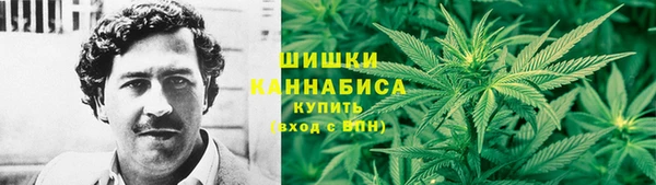 стафф Нефтекумск
