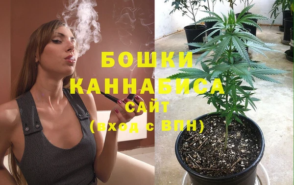 стафф Нефтекумск