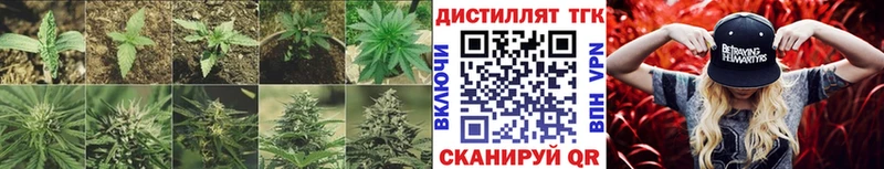 ТГК Wax  Аша 