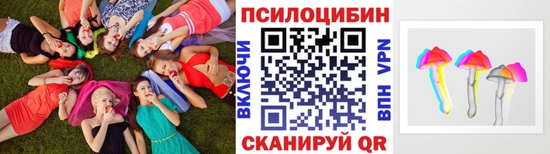 купить закладку  Аша  OMG tor  Галлюциногенные грибы мицелий 